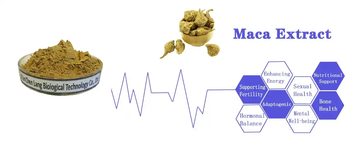 Maca Extract powder saler.jpg Maca Extract powder saler.jpg